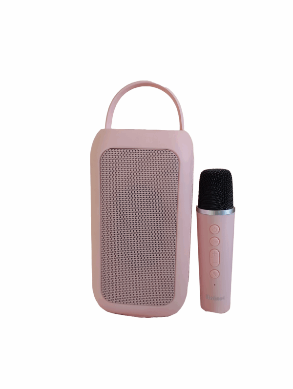 Bobtot EP20 Porable Karaoke Speaker with 1 mic